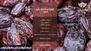 انواع خرمای ایران برای بازارهای عربی و جهانی